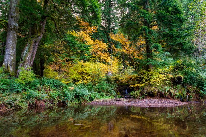 A Hidden Corner in the Mt. Hood Foothills