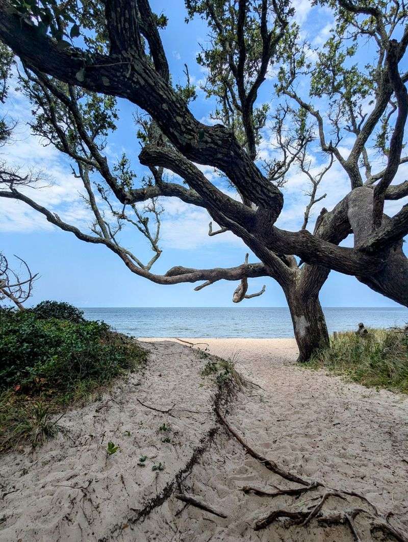 A Hidden Corner of Ocracoke Island