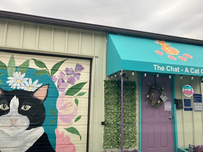 A Hidden Gem in the Rose District A Hidden Gem in the Rose District