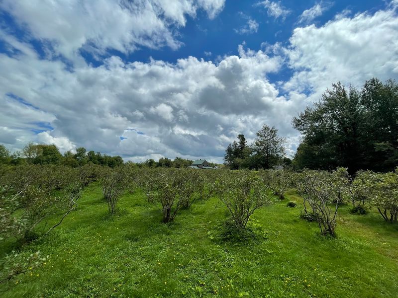 A Hilltop Farm Hidden in the Berkshires A Hilltop Farm Hidden in the Berkshires