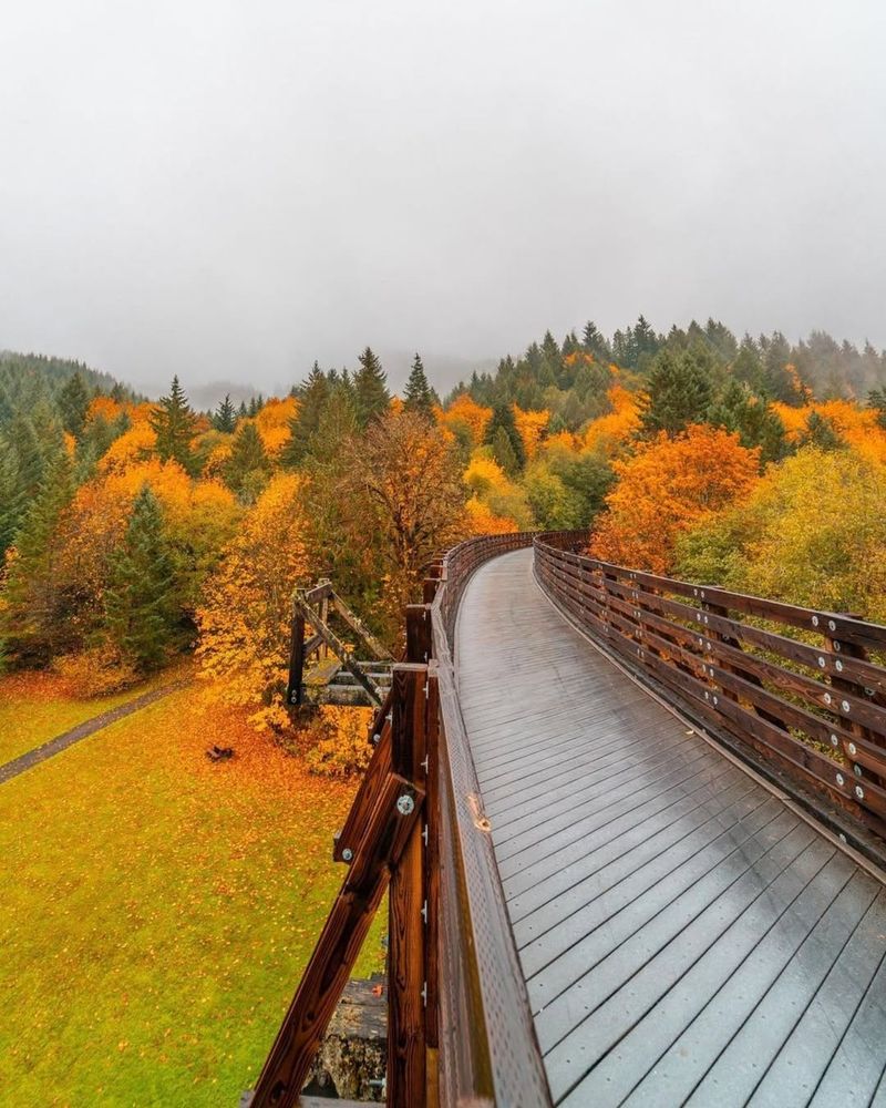 A Historic Route Worth Riding at Your Own Pace