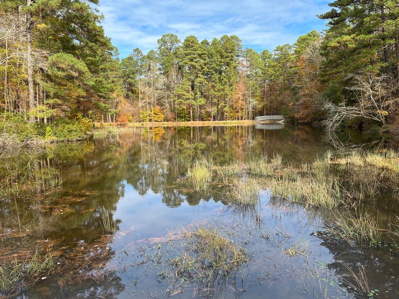 A History Rooted in Healing Springs and Scouting Summers