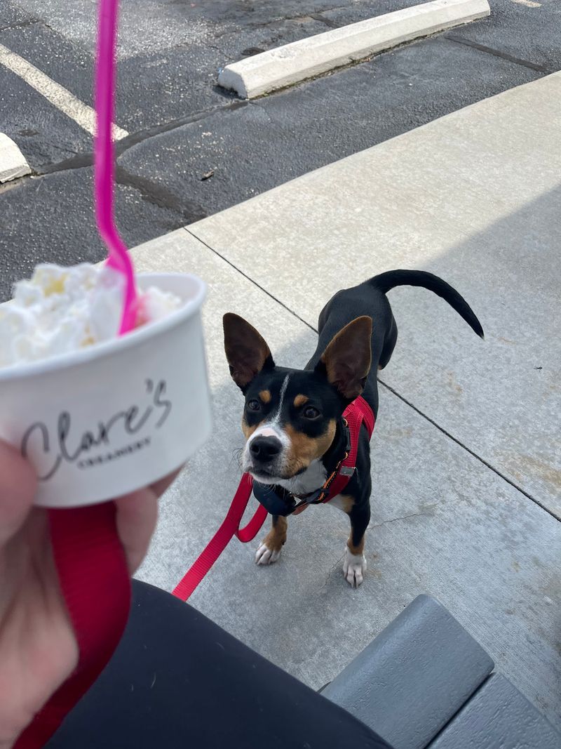 A Hometown Vibe for Families, Dates, and Dogs