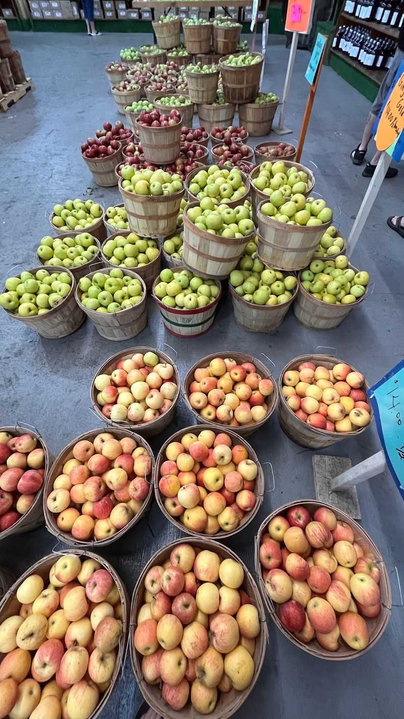A Hundred Kinds of Apples A Hundred Kinds of Apples