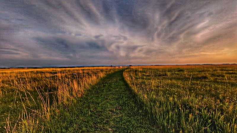 A Landscape on the Verge of Vanishing A Landscape on the Verge of Vanishing