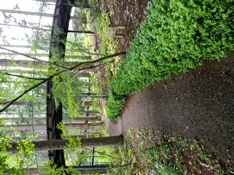 A Living Collection Of Native And Heritage Plants