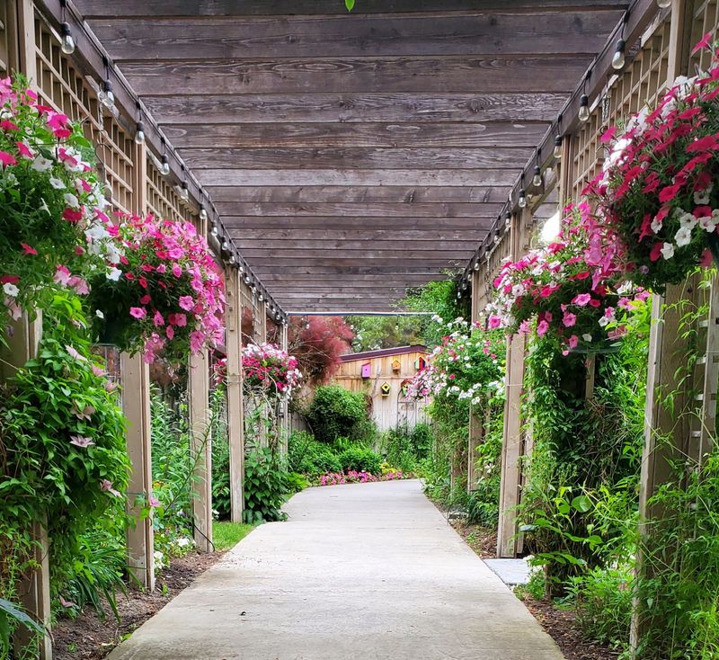 A Living Gallery That Reinvents Itself Every Few Weeks