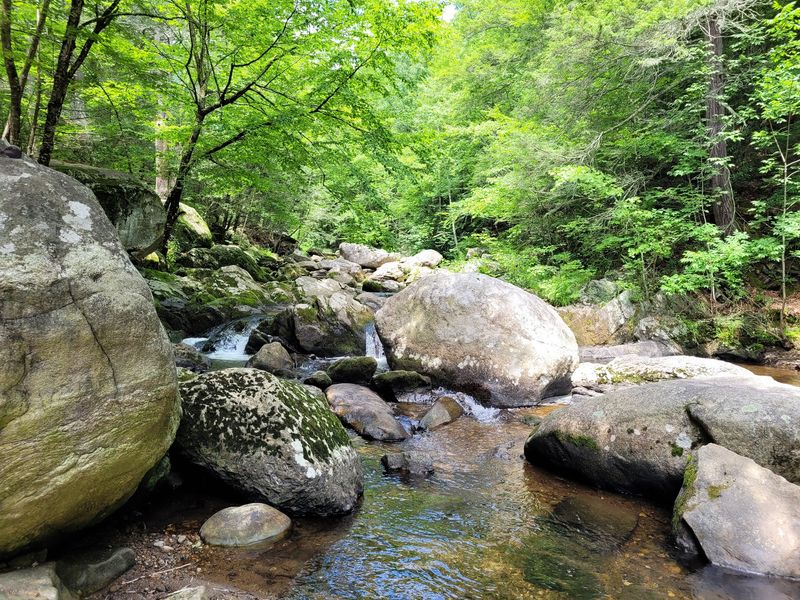 A Local Secret That Slowly Got Out