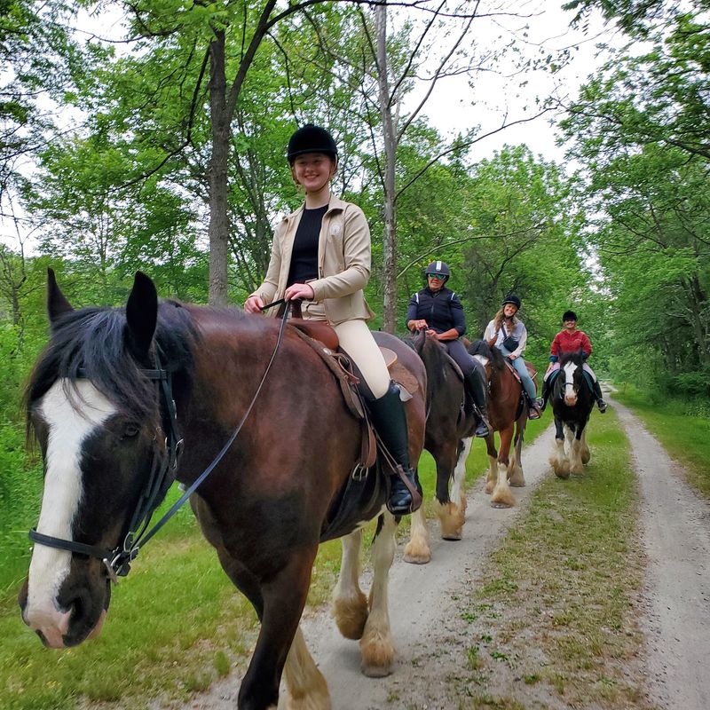 A Long Valley Farm With A Big-Horse Address