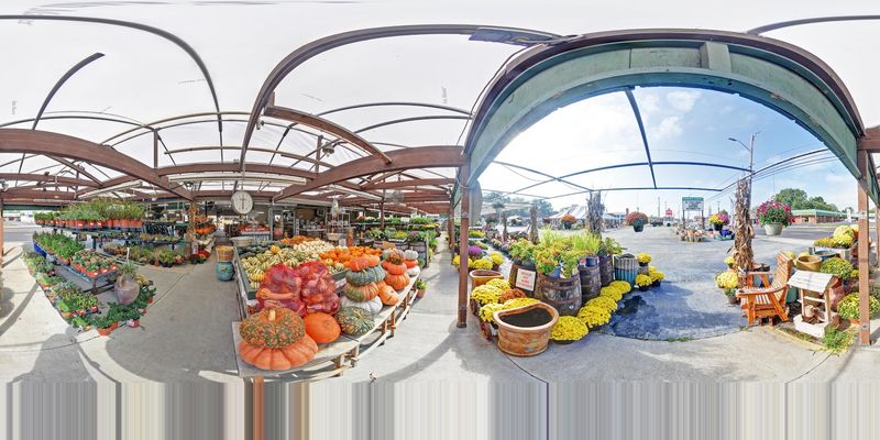 A Market That Changes With the Seasons