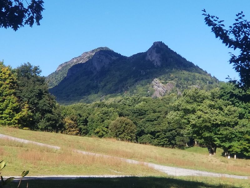 A Meadow Tucked Into Grandfather Mountain A Meadow Tucked Into Grandfather Mountain