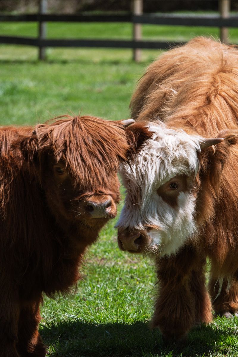A Millstone Township Farm With A Clear Address A Millstone Township Farm With A Clear Address