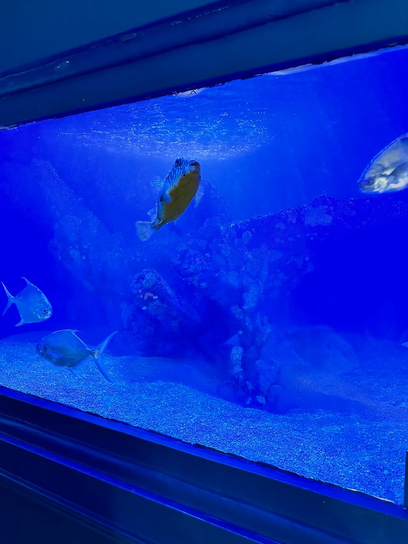 A Mini Aquarium That Locals Keep Coming Back For A Mini Aquarium That Locals Keep Coming Back For
