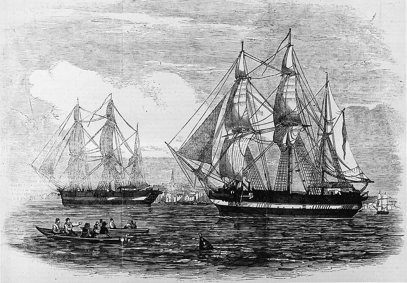 A Missing Letter Complicates the Fate of the Franklin Expedition