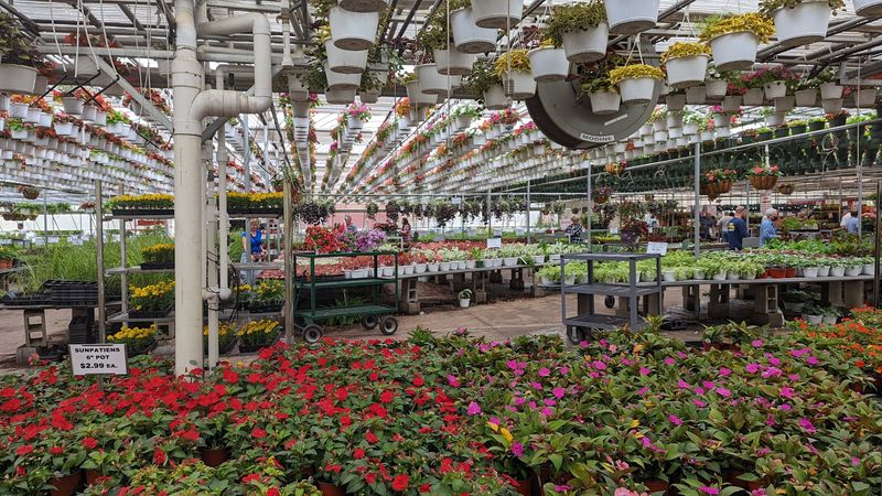 A Monroe Township Garden Center With a Big Local Reputation A Monroe Township Garden Center With a Big Local Reputation