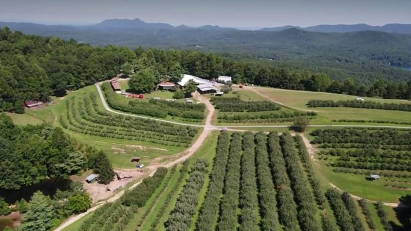 A Mountaintop Farm in Flat Rock A Mountaintop Farm in Flat Rock