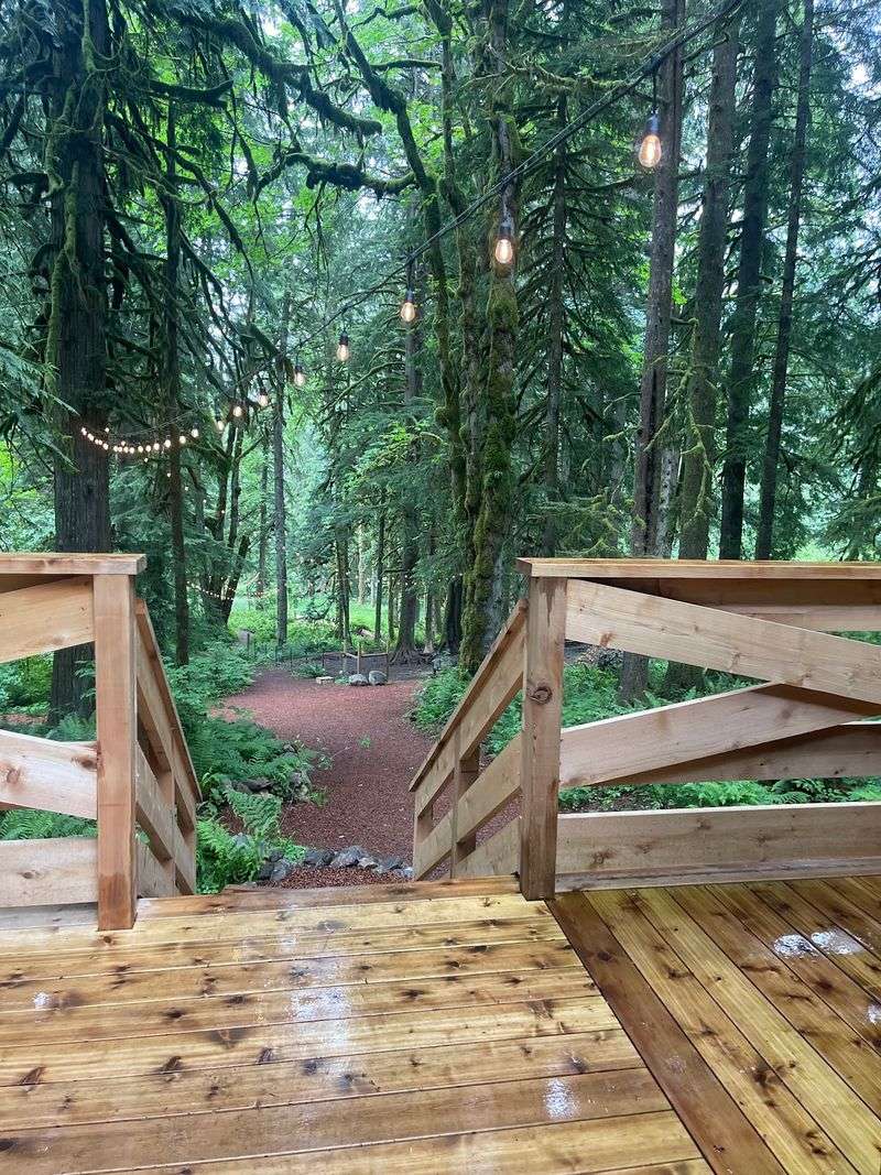 A Nordic Spa Hidden in the Trees