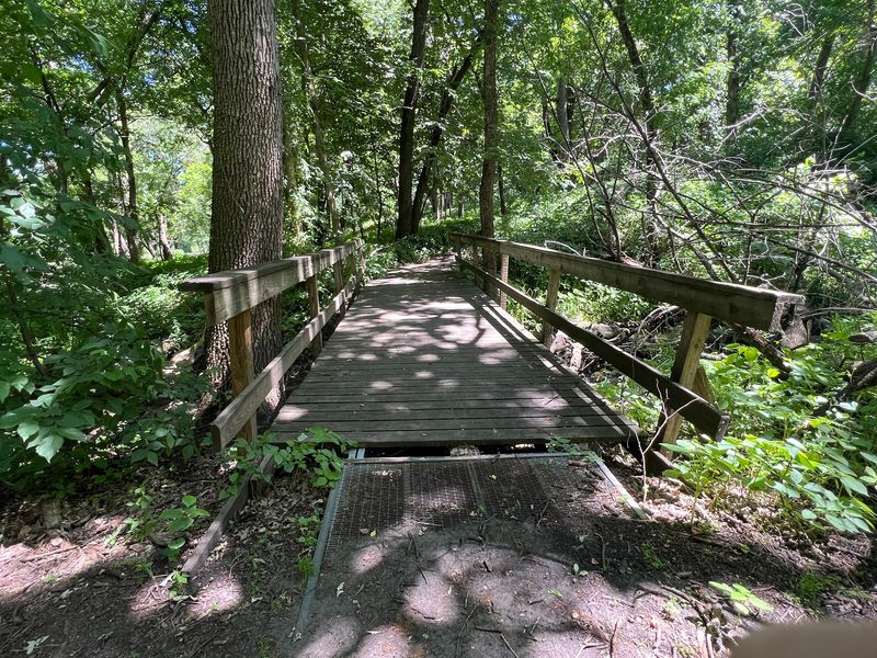 A Park That Surprises You From the First Step A Park That Surprises You From the First Step