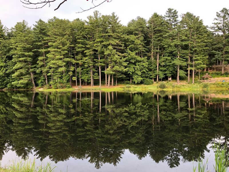 A Park With Deep Roots: The History Behind the Green