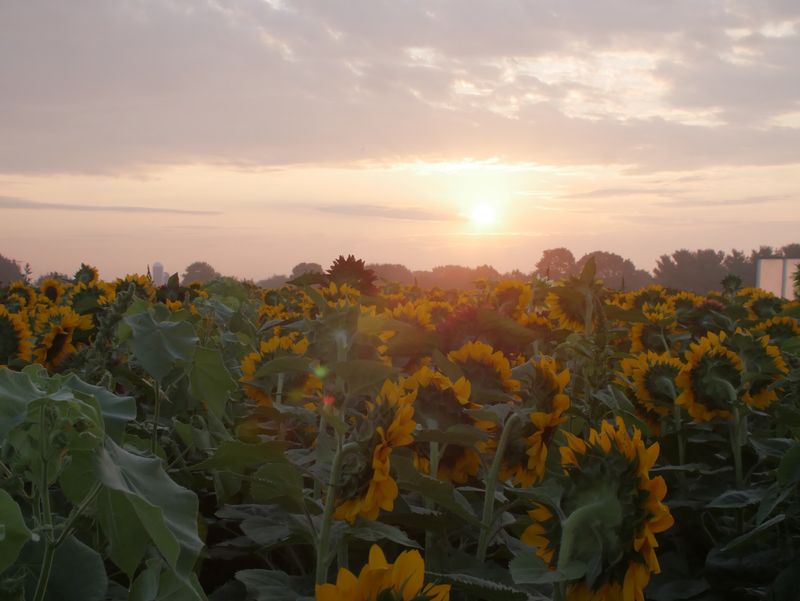 A Pastoral Welcome in Pennsylvania's Heart A Pastoral Welcome in Pennsylvania's Heart
