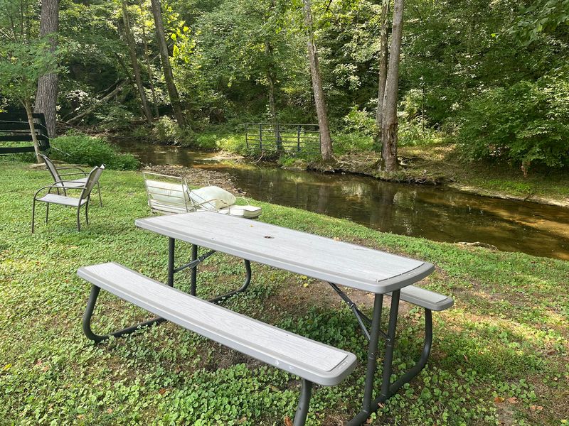 A Peaceful Creek to Cool Off By