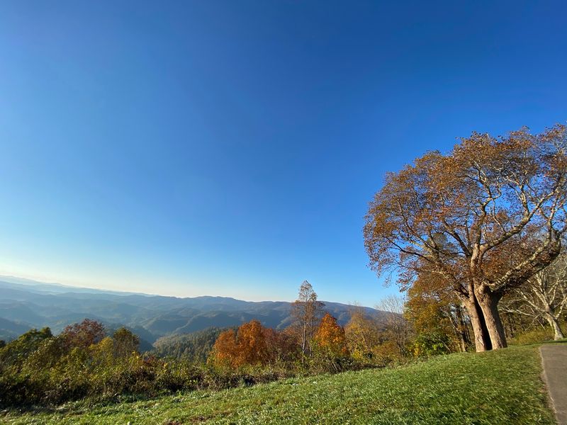 A Peaceful Spot for Picnics and Quiet Moments