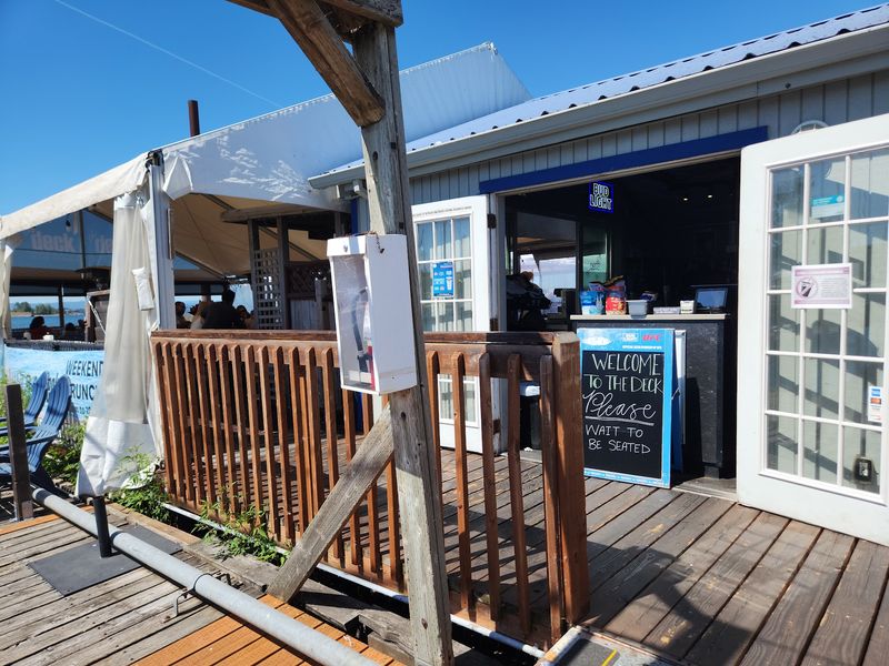 A Pet-Friendly Deck Where Dogs Are Welcome A Pet-Friendly Deck Where Dogs Are Welcome