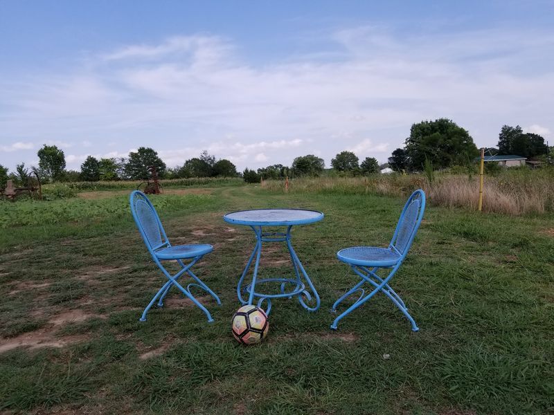 A Picnic Under The Trees