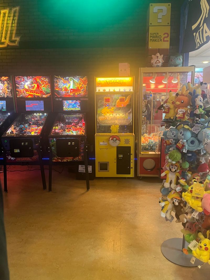 A Pinball Collection Worth Talking About A Pinball Collection Worth Talking About