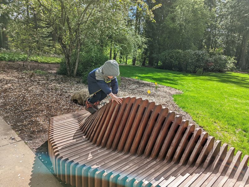 A Playground For Curious Little Explorers