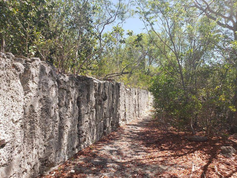 A Quarry Turned Time Capsule in the Upper Keys A Quarry Turned Time Capsule in the Upper Keys