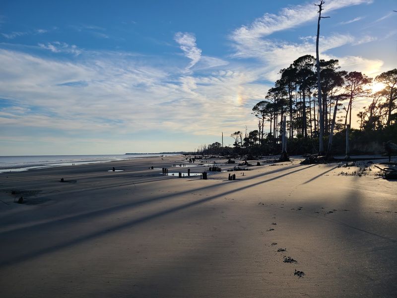 A Quiet Coastal Gem in South Carolina's Low Country A Quiet Coastal Gem in South Carolina's Low Country
