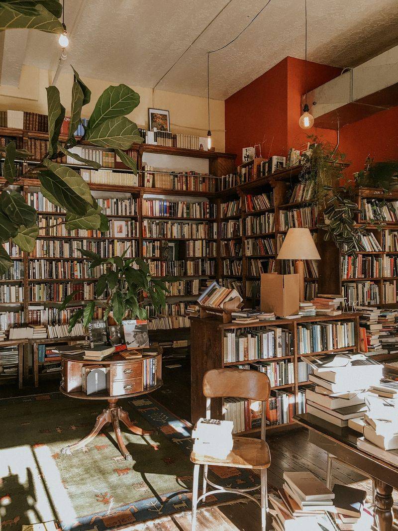 A Quiet Corner on Portland's East Side