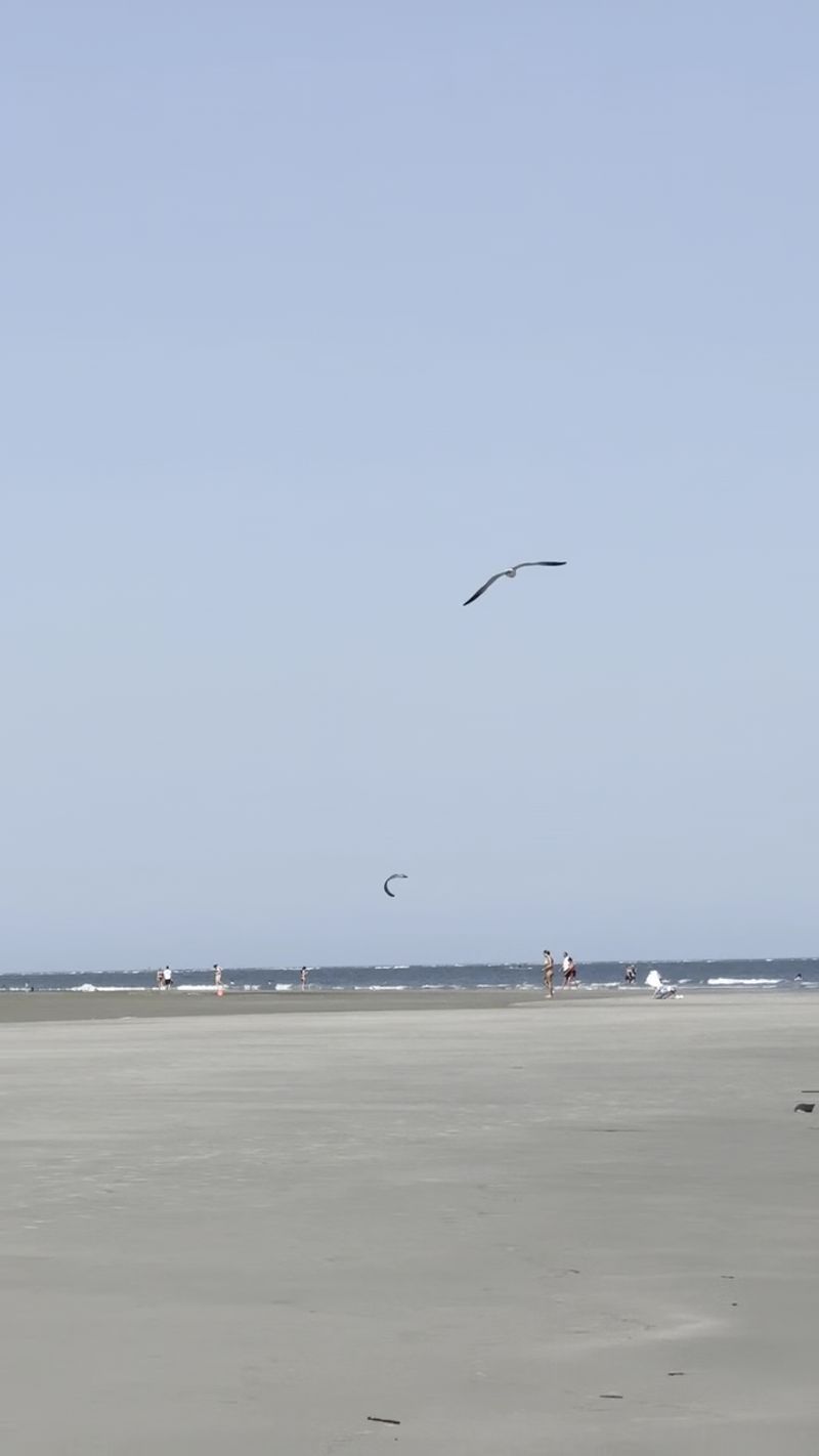 A Quiet Stretch of Shore Just Outside Charleston A Quiet Stretch of Shore Just Outside Charleston