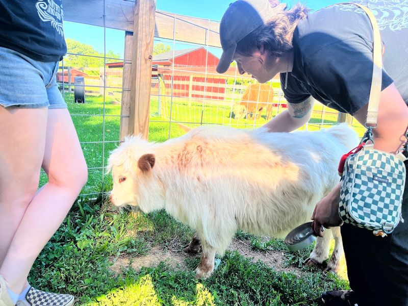 A Relaxed Fit For Families And Animal Fans A Relaxed Fit For Families And Animal Fans