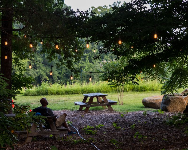 A Relaxing Escape for Families and Photo Lovers A Relaxing Escape for Families and Photo Lovers
