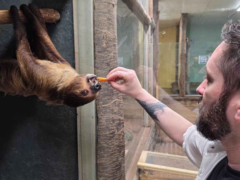 A Rescue Mission at Its Heart