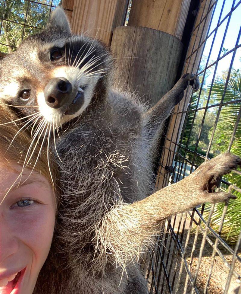 A Rescue Sanctuary Built on Love, Not Profit A Rescue Sanctuary Built on Love, Not Profit