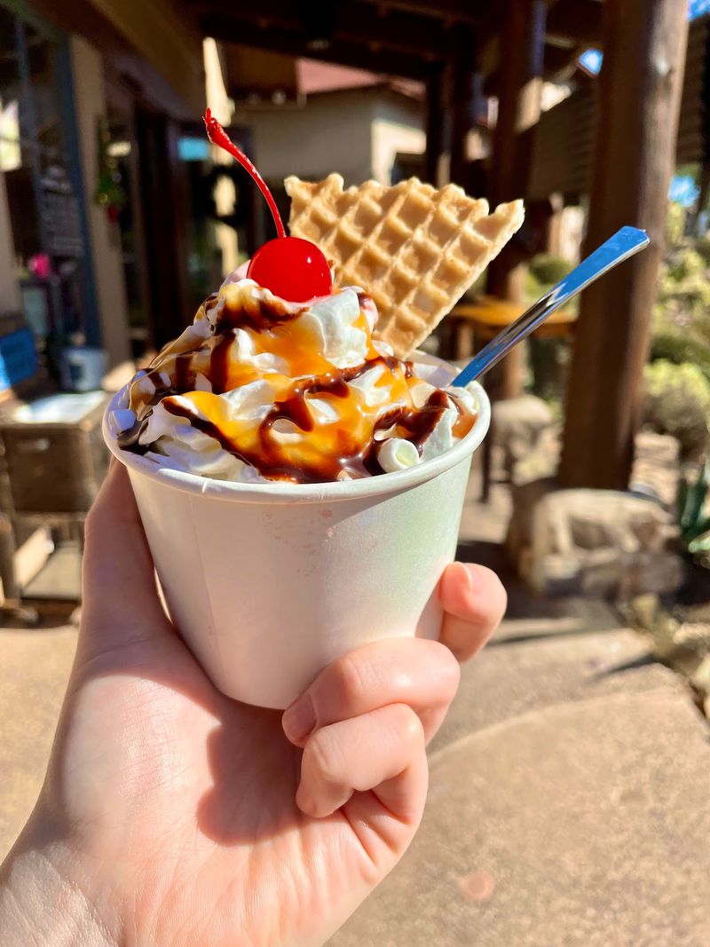 A Reward After the Trail