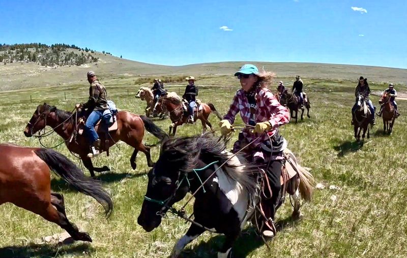 A Ride Like No Other: Herding Horses Across Wild Country A Ride Like No Other: Herding Horses Across Wild Country
