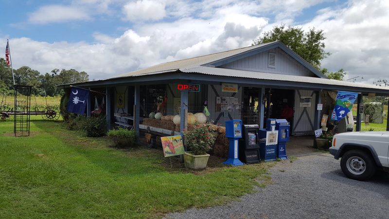 A Roadside Stop on the Way to the Beach A Roadside Stop on the Way to the Beach