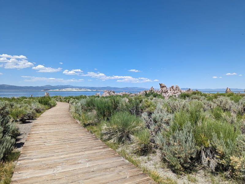 A Roadside Wonder Along Highway 395 A Roadside Wonder Along Highway 395
