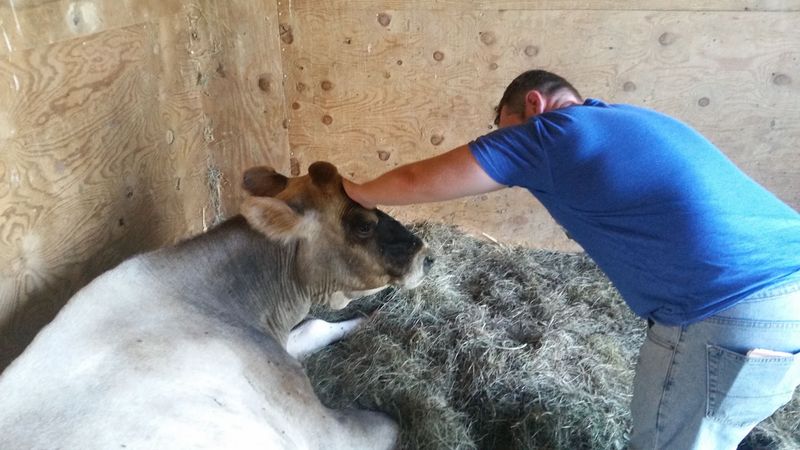 A Sanctuary, Not a Petting Zoo A Sanctuary, Not a Petting Zoo