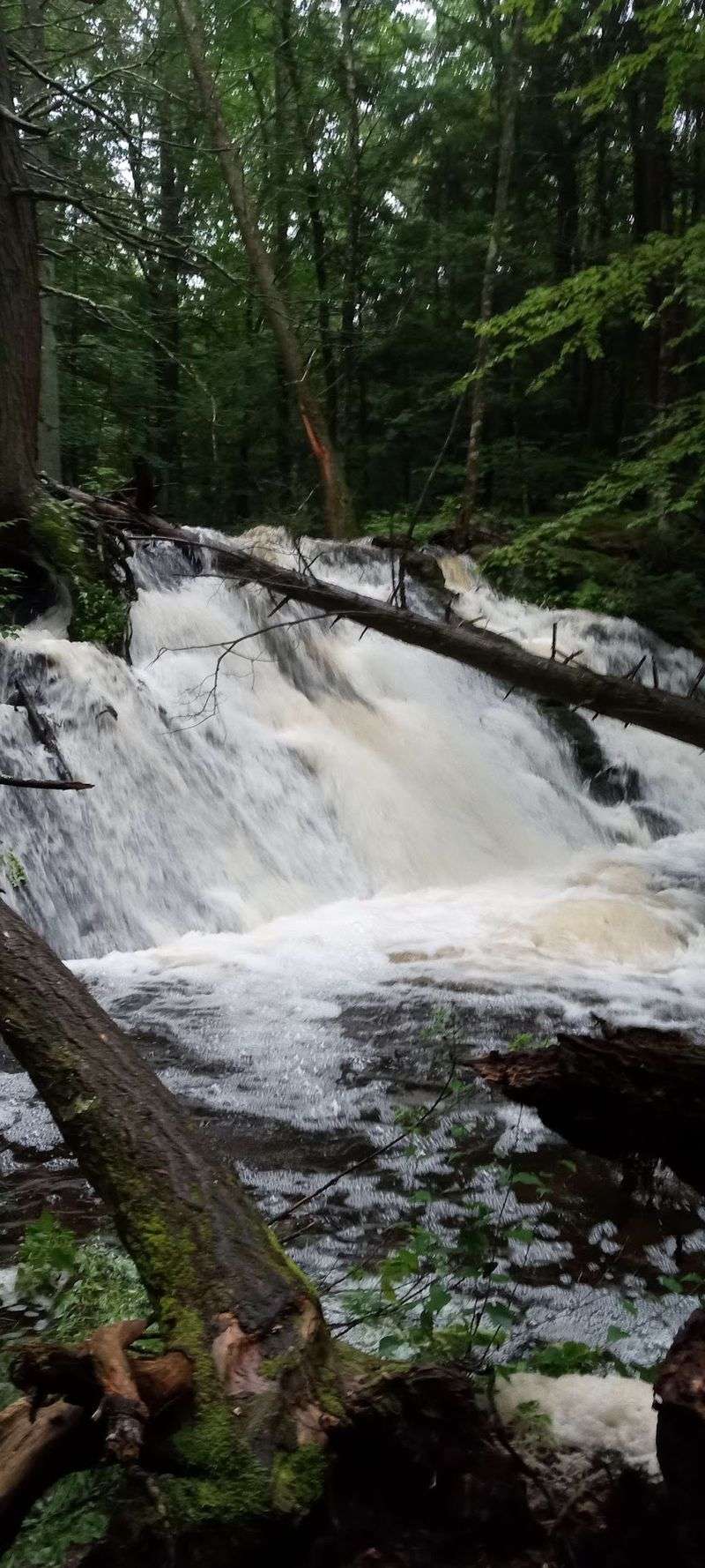 A Sandyston Waterfall Inside Stokes State Forest A Sandyston Waterfall Inside Stokes State Forest