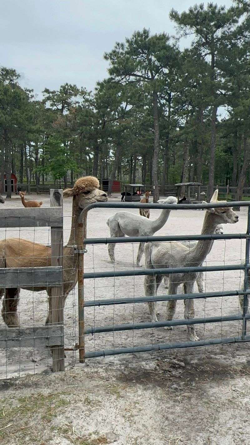 A Season-Friendly Stop In Ocean County A Season-Friendly Stop In Ocean County