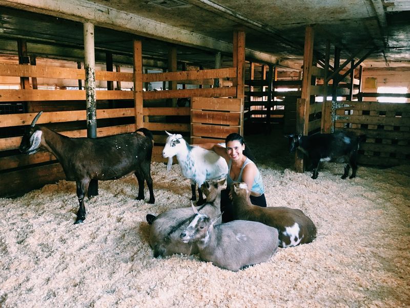 A Second Chance Written Into Every Pasture A Second Chance Written Into Every Pasture