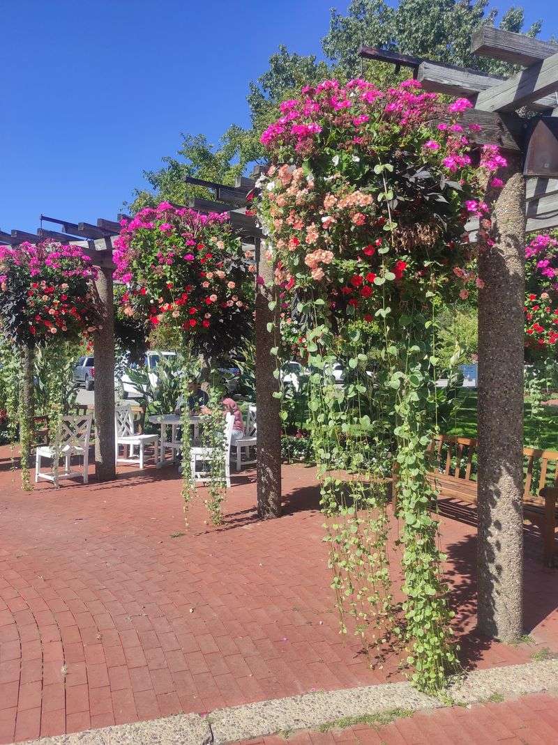 A Setting Made for Celebrations and Special Occasions A Setting Made for Celebrations and Special Occasions