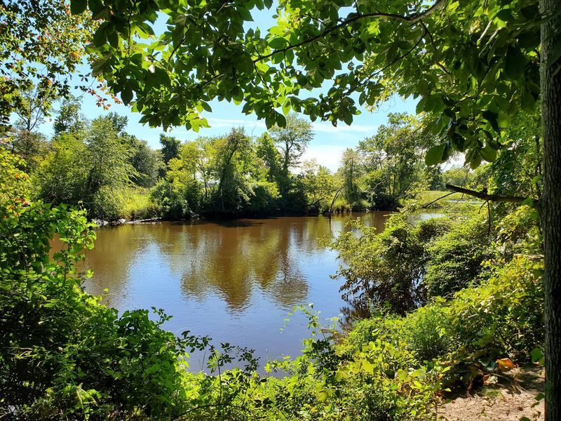 A Short Walk Toward the Water A Short Walk Toward the Water
