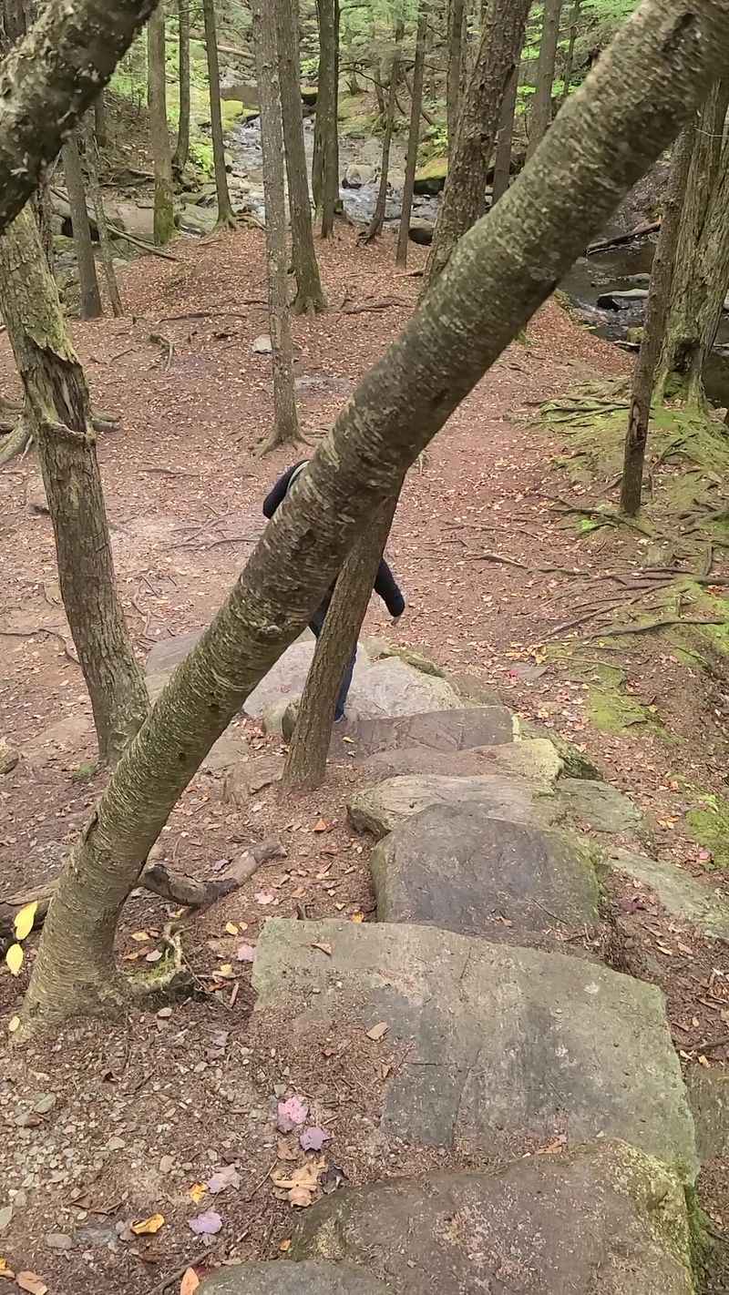 A Short Walk With a Steep Payoff