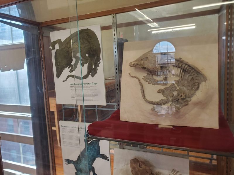 A Small Museum That Rewards Slow Looking A Small Museum That Rewards Slow Looking